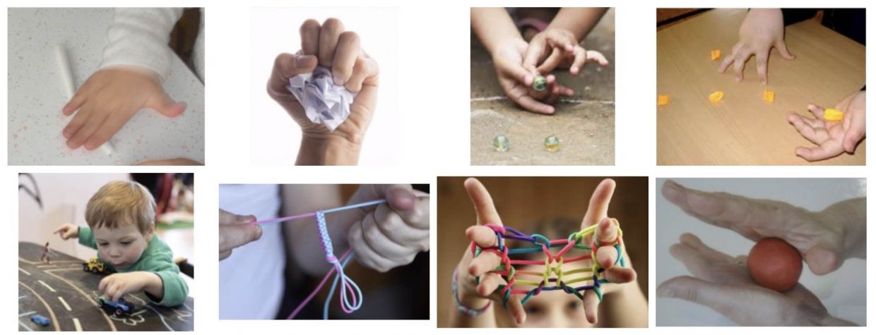 Activités pour intégrer le grasping