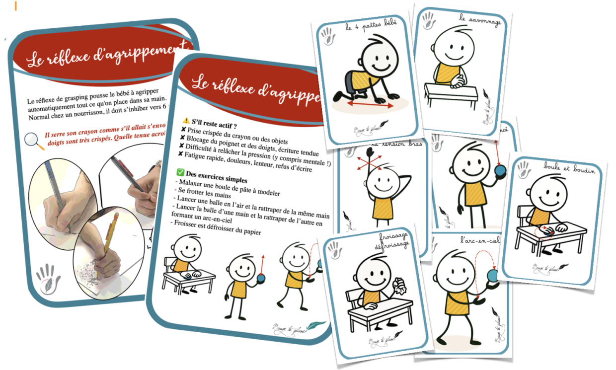 réflexe d'agrippement réflexe d'agrippement
